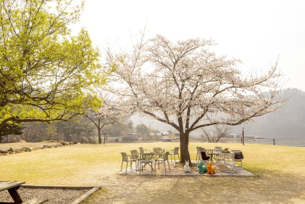 Seoul travel guide—ComeHome Cafe