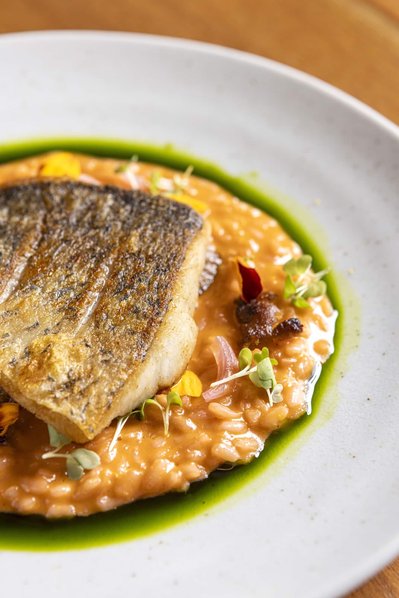 Pan-seared seabass with red curry risotto, fish chorizo, pickled red onion, parsley oil
